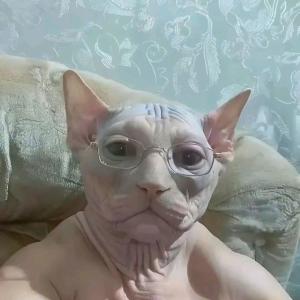 ・・・ ・・・(1)