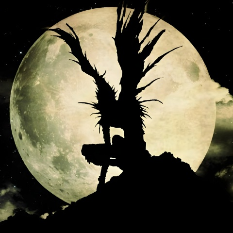 Коля Новиков