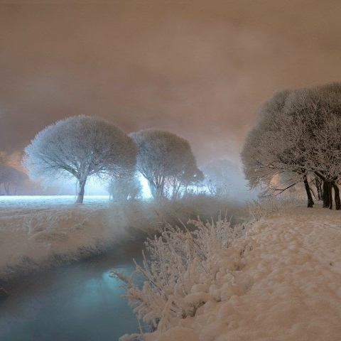 Борис Бурда