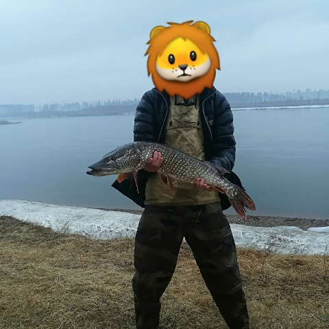 Николай Петриков