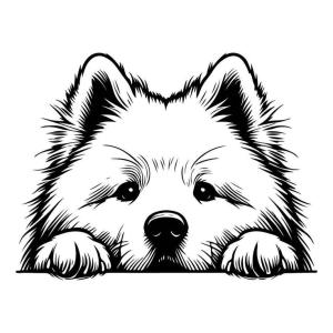 JIecHuk